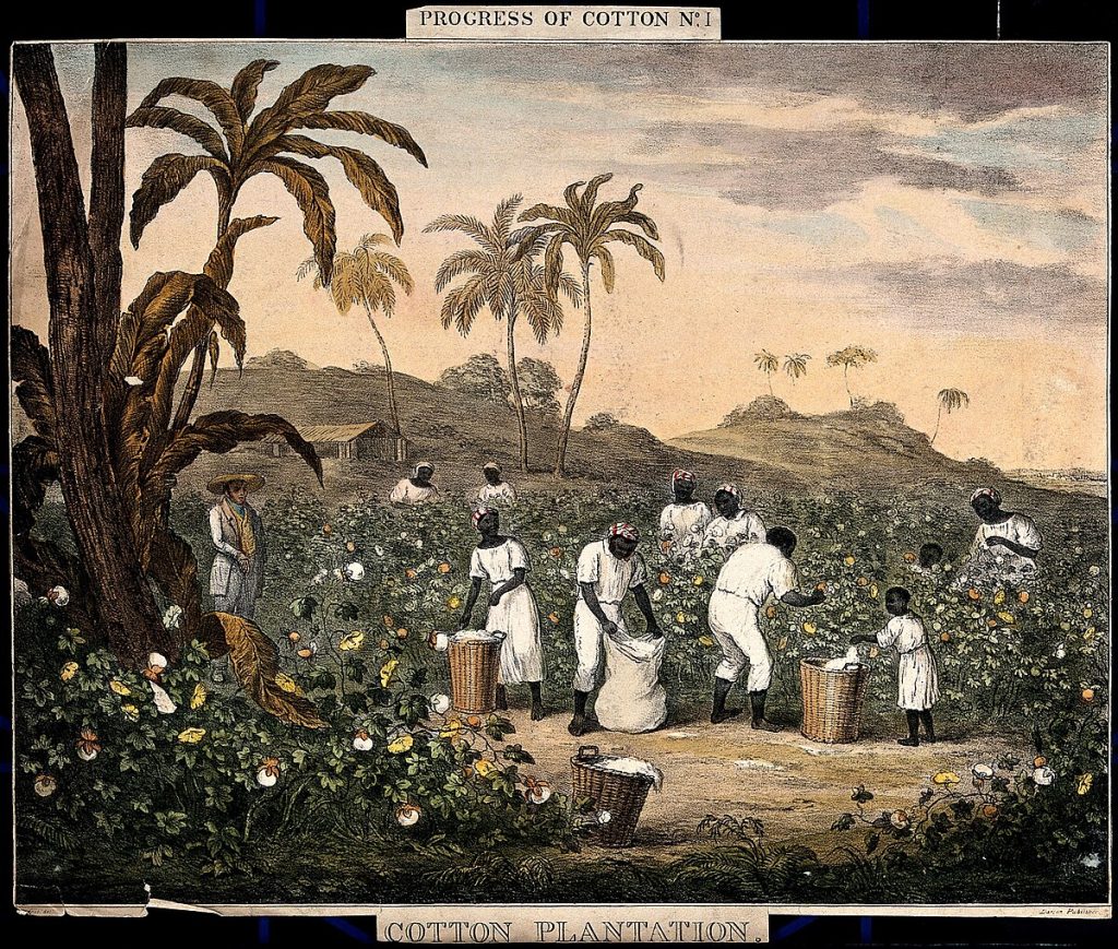 People with baskets and sacks pick cotton on a plantation, lithographie couleur. J.R. Barfooot, 1840