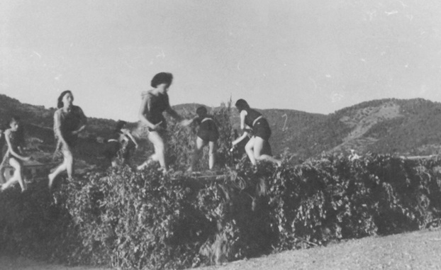 Le Chalutier, île de Poros 1951. Archives de Polyxeni Mathéy.