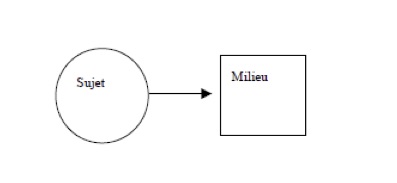 Interaction élève-milieu (Margolinas, 1998).