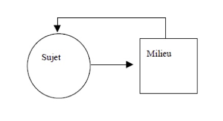 Interaction élève-milieu (Margolinas, 1998).