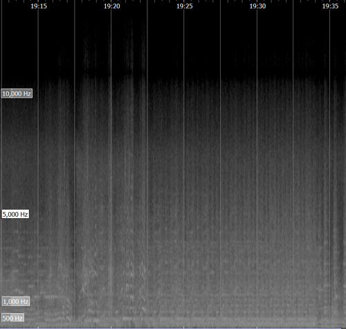 Visuel 5&nbsp;: Spectrogramme du film Remorques, 19:10-19:35.