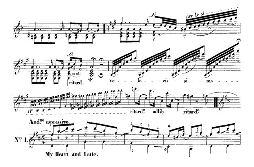 M.A. Zani de Ferranti : Divertissement sur trois romances anglaises pour guitare, Mayence, chez les fils de B. Schott, p. 2, extrait de l’Introduzion. Andante sostenuto.