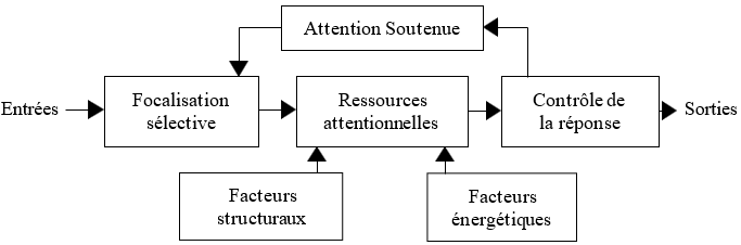Le système attentionnel (Camus, 1996)