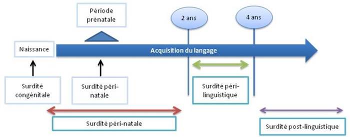 Figure 70&nbsp;: Schéma récapitulatif d’après Lina-Granade et Truy (2005).