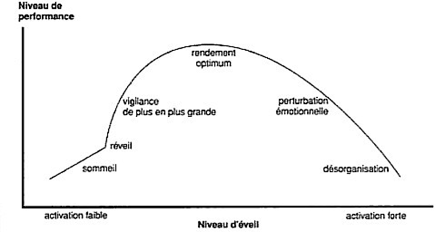 Loi de Yerkes et Dodson ou loi de l'optimum