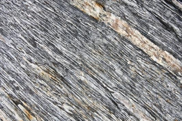 Figure 9&nbsp;: Schiste.