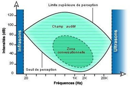 Figure 72&nbsp;: la courbe audiométrique de l'oreille humaine. Les précisions données ci-dessus peuvent se résumer sur un graphique représentant le champ auditif humain (vert). La zone conversationnelle (vert foncé)