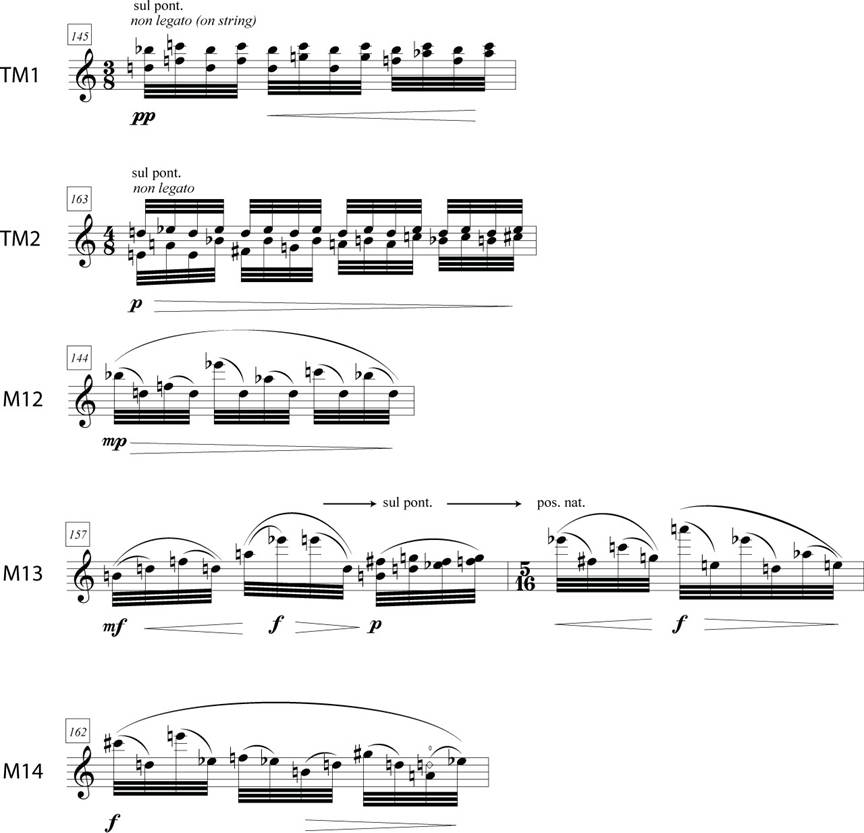 Figure 2.17: Goldman’s h group (TM1, TM2, M12, M13, and M14)