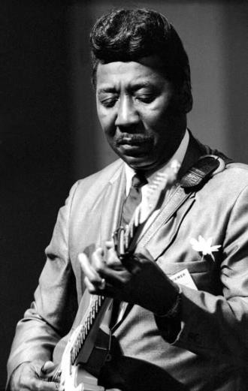 Figure 1&nbsp;: Muddy Waters (Source&nbsp;: https://digital.nepr.net)